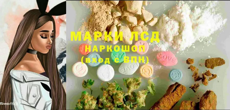 наркотики  Щёкино  Лсд 25 экстази ecstasy 